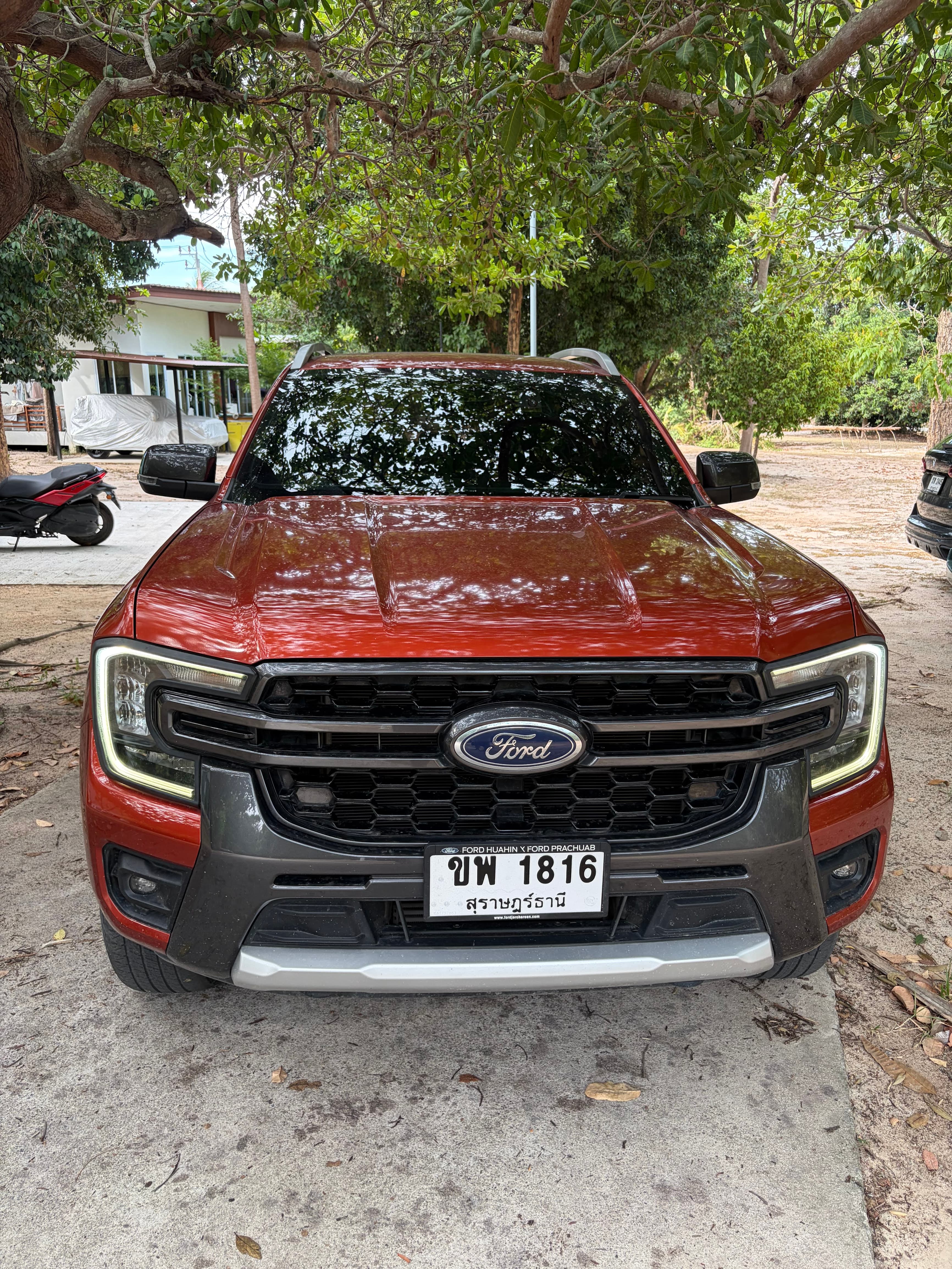 Ford Ranger Wildtrak 2024 Red